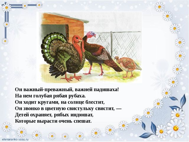 Презентация для детей "Домашние птицы"