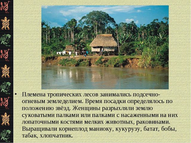 Презентация "Коренные жители Южной Америки"