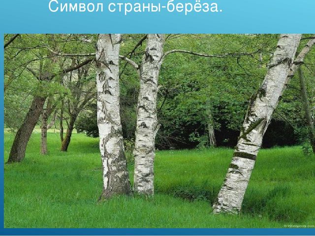 Презентация "Россия-родина моя" средняя группа.