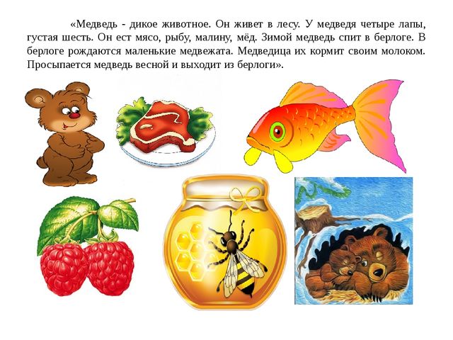 Презентация для дошкольников "Почему медведь зимой спит"