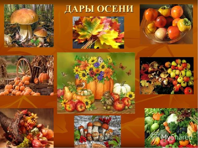 Презентация "Осенняя фантазия", как мы с ребятами подготовились к осеннему празднику.