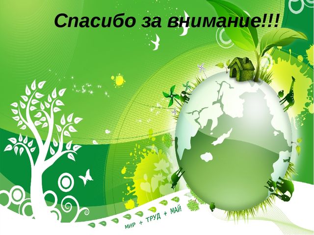 Презентация на тему: "Безопасное поведение в лесу"