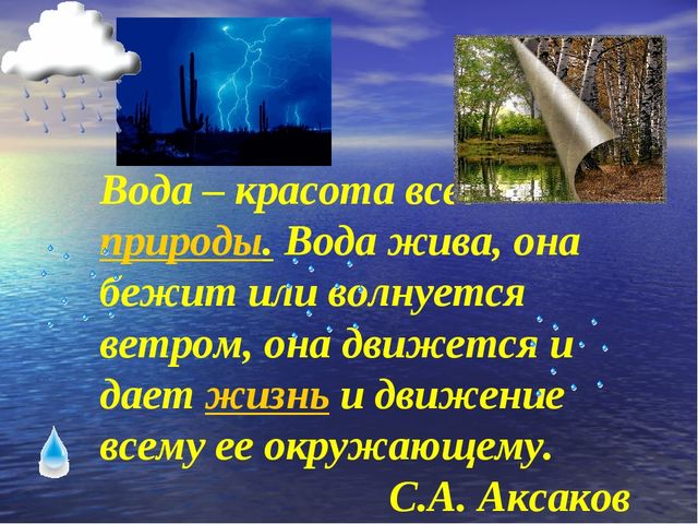 Презентация по экологическому воспитанию для детей старшего дошкольного возраста