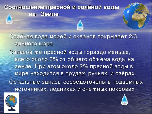 Презентация по экологическому воспитанию для детей старшего дошкольного возраста