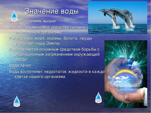 Презентация по экологическому воспитанию для детей старшего дошкольного возраста