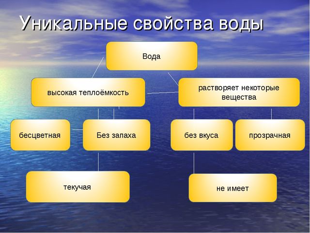 Презентация по экологическому воспитанию для детей старшего дошкольного возраста