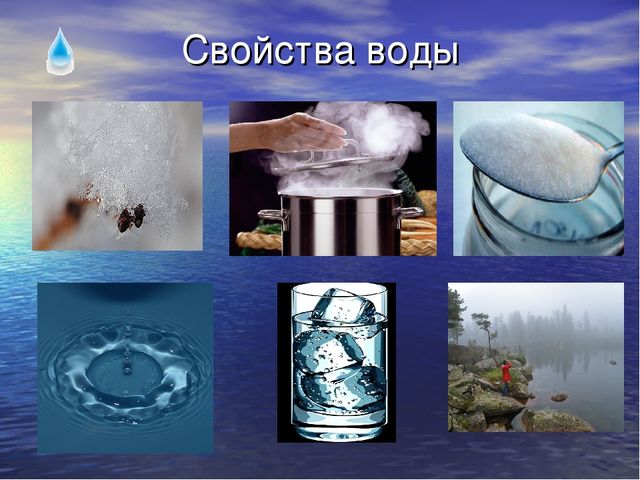 Презентация по экологическому воспитанию для детей старшего дошкольного возраста