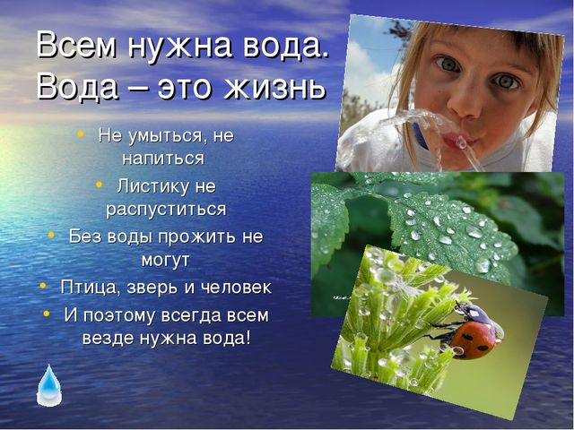Презентация по экологическому воспитанию для детей старшего дошкольного возраста