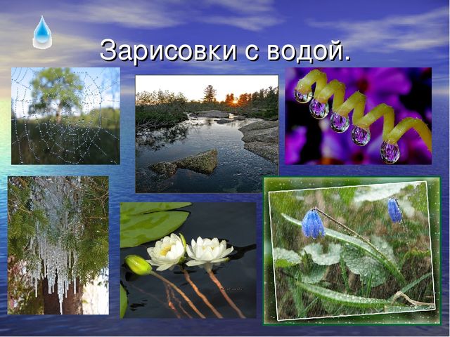 Презентация по экологическому воспитанию для детей старшего дошкольного возраста