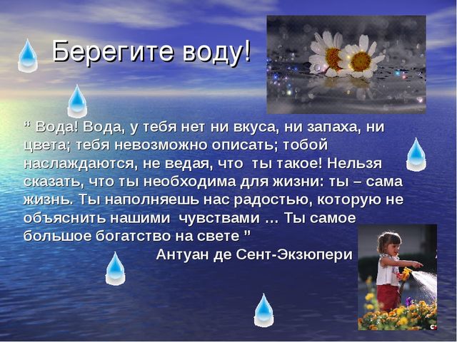 Презентация по экологическому воспитанию для детей старшего дошкольного возраста