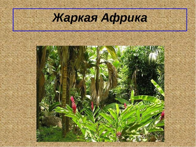 Презеентация на тему "Путешествие в Африку"