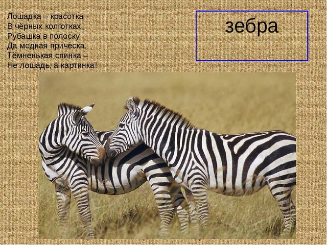 Презеентация на тему "Путешествие в Африку"