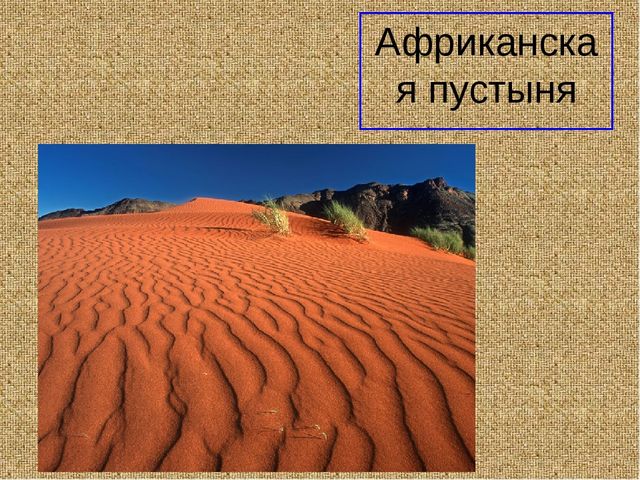 Презеентация на тему "Путешествие в Африку"