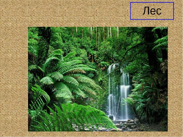 Презеентация на тему "Путешествие в Африку"