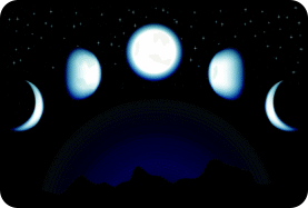 Picture 10