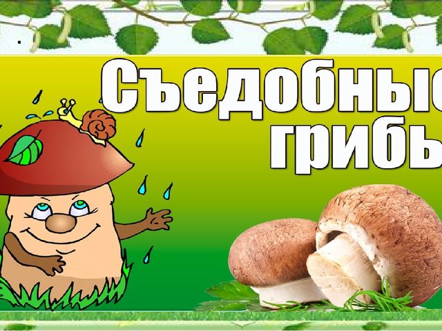 Презентация "Грибное царство" по ознакомлению с окружающим миром старшая группа