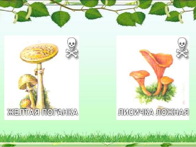 Презентация "Грибное царство" по ознакомлению с окружающим миром старшая группа