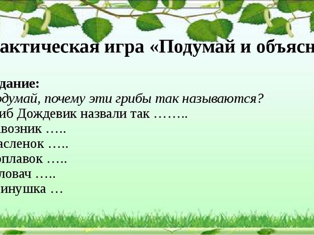 Презентация "Грибное царство" по ознакомлению с окружающим миром старшая группа