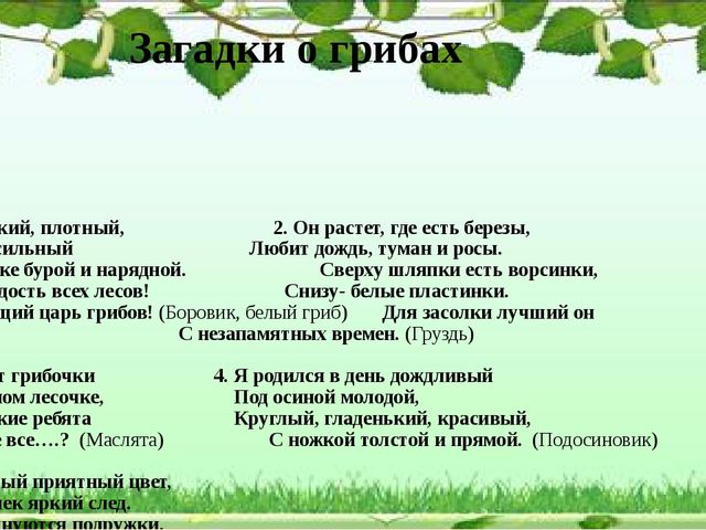 Презентация "Грибное царство" по ознакомлению с окружающим миром старшая группа