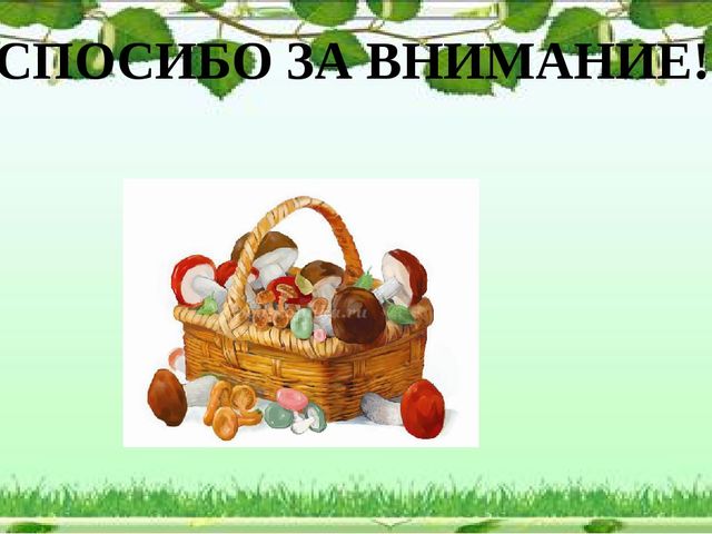 Презентация "Грибное царство" по ознакомлению с окружающим миром старшая группа
