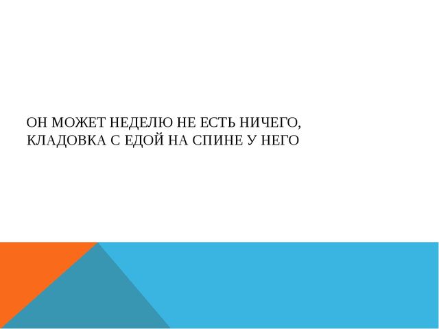 Презентация на тему "Молочные продукты"