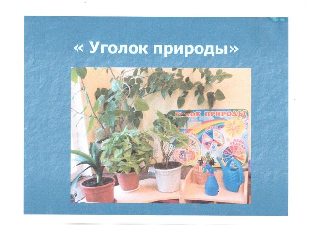 Презентация на тему "Предметно-развивающая среда в подготовительной логопедической группе"