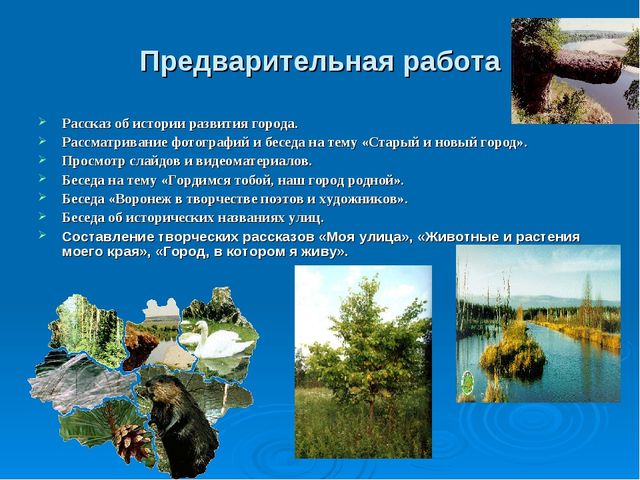 Презентация "Мой город капелька России"