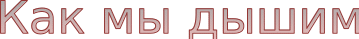 Shape4