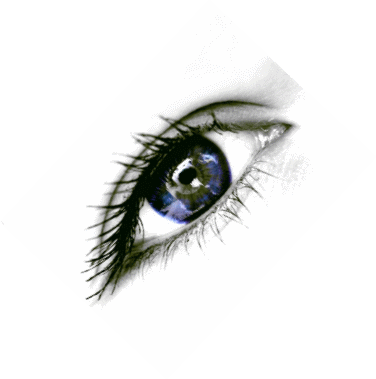 Picture 28