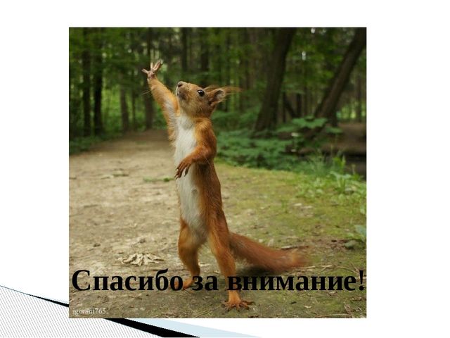 Презентация "Уголок природы в детском саду" - банк идей