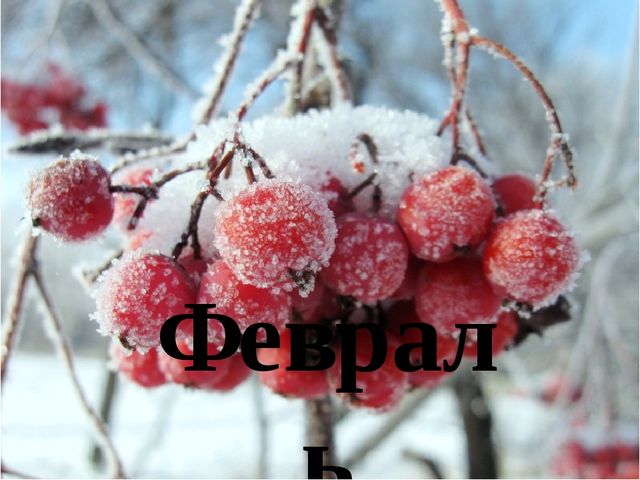 Презентация - визуализация стихотворения С.Козлова "Февраль"