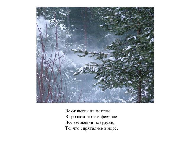 Презентация - визуализация стихотворения С.Козлова "Февраль"