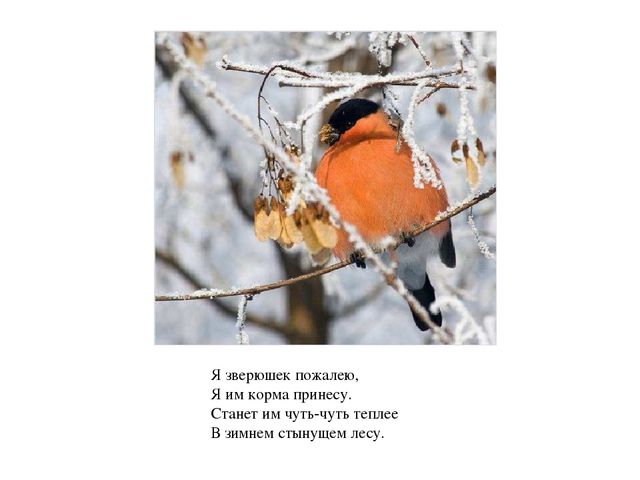 Презентация - визуализация стихотворения С.Козлова "Февраль"