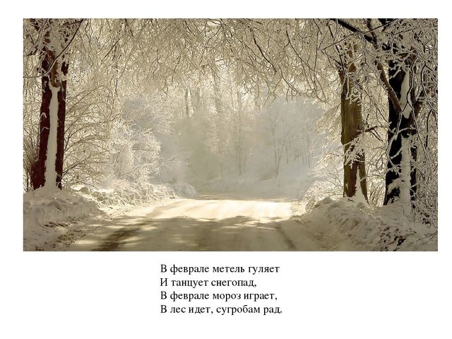 Презентация - визуализация стихотворения С.Козлова "Февраль"