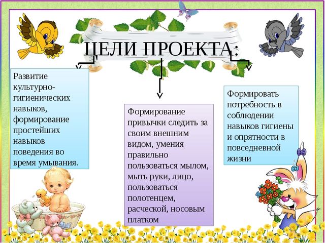 Презентация к проекту "Чистюлька"