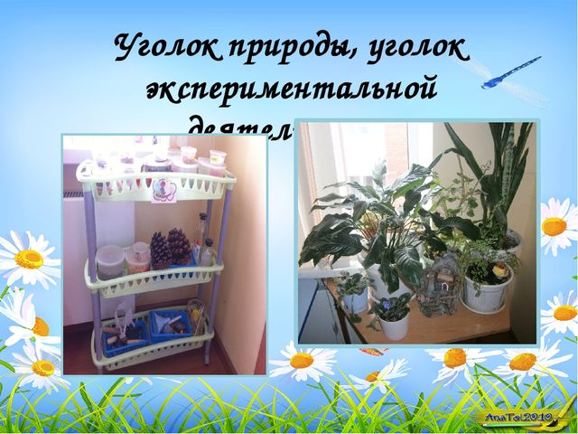 Презентация На тему: Предметно-развивающая среда"