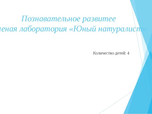Презентация оборудования развивающей предметно-пространственной среды по теме "Золотое кольцо Россиии"