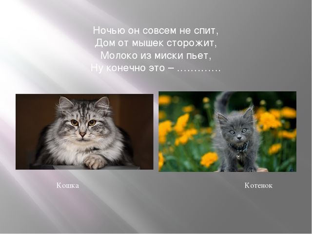 Презентация к занятию по формированию целостной картины мира "Домашние животные". Средняя группа.