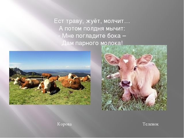 Презентация к занятию по формированию целостной картины мира "Домашние животные". Средняя группа.