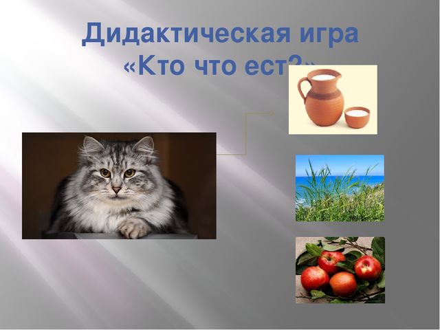 Презентация к занятию по формированию целостной картины мира "Домашние животные". Средняя группа.