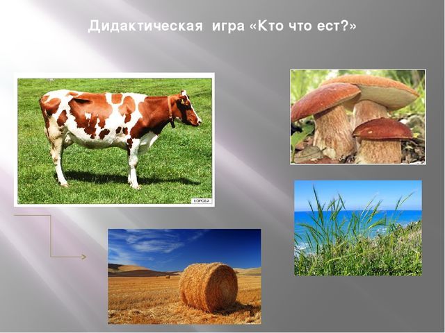 Презентация к занятию по формированию целостной картины мира "Домашние животные". Средняя группа.