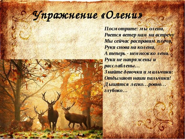 Методическая разработка для работы с детьми с ОНР. Релаксационная гимнастика