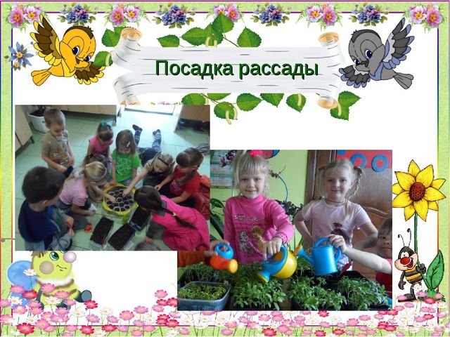 Презентация по благоустройству территории детского сада "Дворик моей мечты"