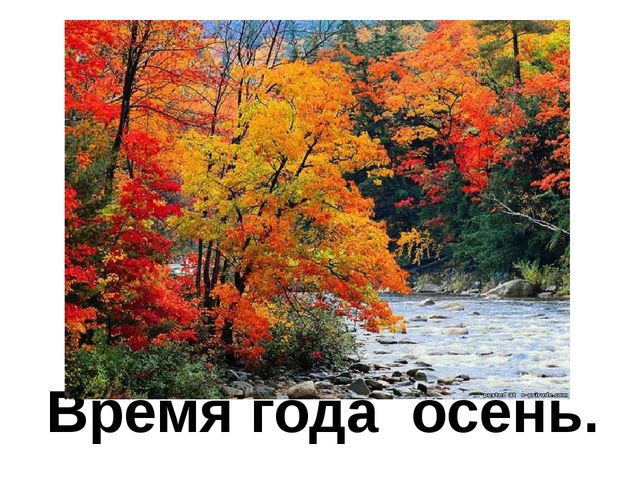 Презентация к занятию по формированию целостной картины мира. Итоговое занятие "Золотая осень". Средняя группа.