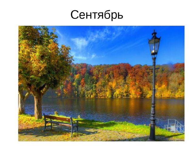 Презентация к занятию по формированию целостной картины мира. Итоговое занятие "Золотая осень". Средняя группа.