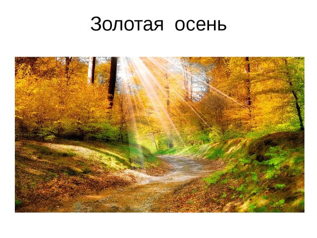 Презентация к занятию по формированию целостной картины мира. Итоговое занятие "Золотая осень". Средняя группа.