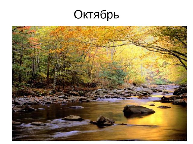 Презентация к занятию по формированию целостной картины мира. Итоговое занятие "Золотая осень". Средняя группа.