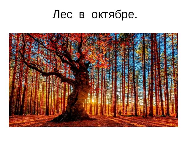Презентация к занятию по формированию целостной картины мира. Итоговое занятие "Золотая осень". Средняя группа.