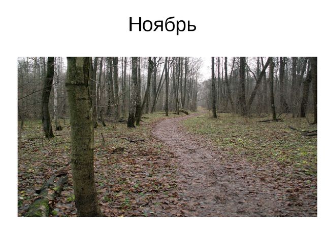 Презентация к занятию по формированию целостной картины мира. Итоговое занятие "Золотая осень". Средняя группа.