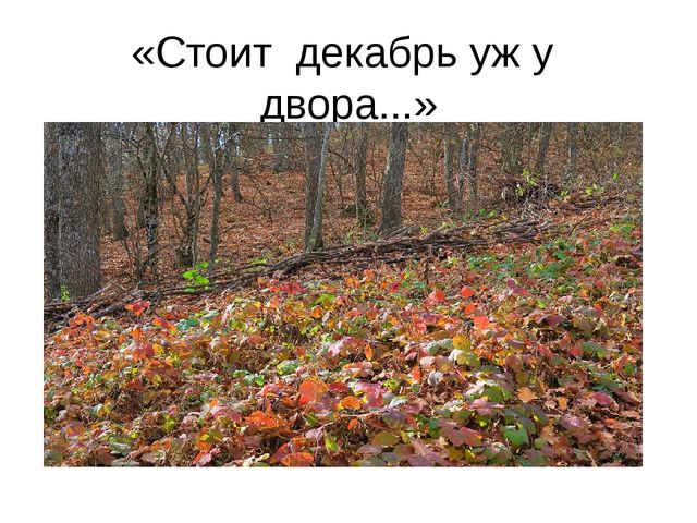 Презентация к занятию по формированию целостной картины мира. Итоговое занятие "Золотая осень". Средняя группа.